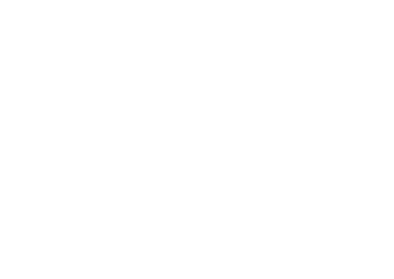  Stemma Brescia Mobilità S.p.A.